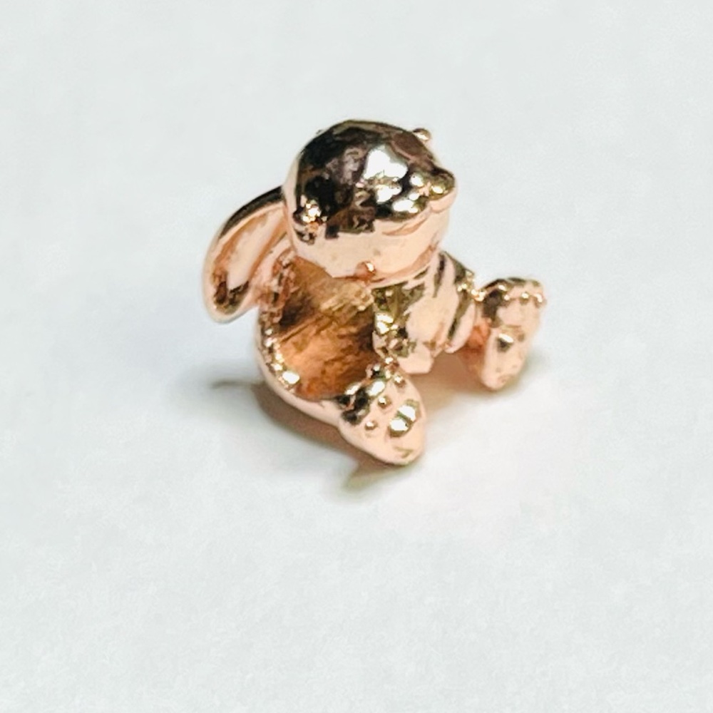 Rose Gold Charm Set - Picture 3 of 6